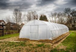 shrink wrap plastic greenhouse