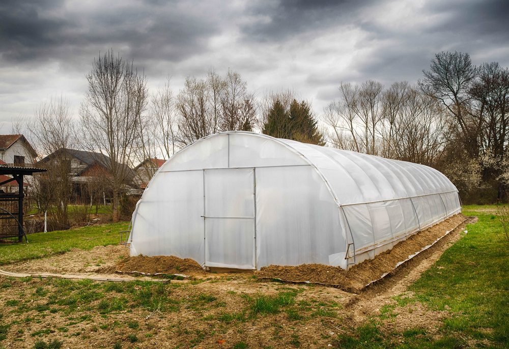 Can I Use Shrink Wrap to Build a Greenhouse? Shrink Wrapping